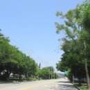 6월23일 평택항-신당공원(평택섶길-4코스=5) 이미지