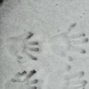 진솔메디텍 이미지