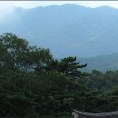 수효자동차 | 직지라더니 꼬부랑길이 웬 말?