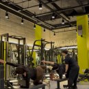 애니멀짐PT | 홍대PT 그룹 소핏짐 합정점 아침운동 추천｜그룹운동 추천 하이록스