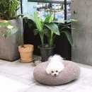 콩닥 동물병원 이미지