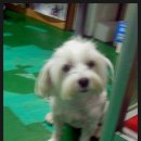 기다리다 이미지