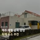 유수암쉘2쉘위싱 | [제주 애월] 유수암쉘 독채숙소 내돈내산 후기