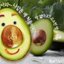 탄현식품 이미지