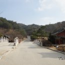 국보산삼오리 | 영주 가볼만한 곳 * 소수서원