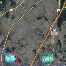제항농장 Daum카페