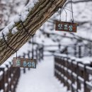 윤선생 우리집앞 영어교실 이미지