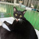 양은리어린이공원 이미지