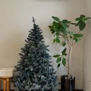 수영로 587번길 이미지