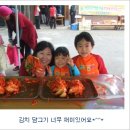 호랑이배꼽마을 Daum카페
