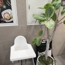 이비가짬뽕 | 동탄 짬뽕 맛집 이비가짬뽕 동탄영천점 후기