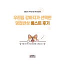 명품베스트 | 강아지간식의 명품 댕첩반상 9월 베스트 후기 당첨자 안내
