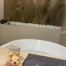 세신샵여율 이미지