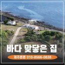 돌고래공인중개사사무소 | ✅{5억} 제주 바다 바로 앞! 대정읍 돌고래 스팟 인근 주택·토지 매매