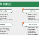 미유펫 동물병원 이미지