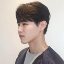 살롱마인 2산단점