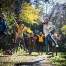 달마고도 이미지