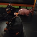 콩이묘묘 이미지