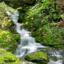 동굴목장 이미지