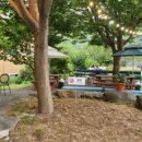 메밀로43 이미지