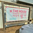 에스에프농장 이미지