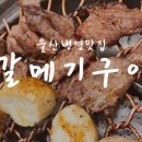 갈메기구이