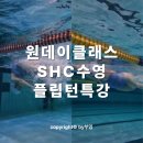 진북동-04(교육문화회관) | 서초 신동교육문화회관 수영장 SHC 플립턴 특강 후기