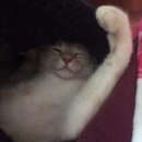 달팽이민박 이미지