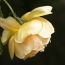 방배천로5-9 이미지