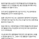 에이핑크뉴스시즌3제작에대해 이미지