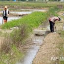 청명축산 이미지