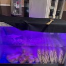 주먹구이 | 대전 문지동 맛집 대한민국 주먹구이 다녀온 후기