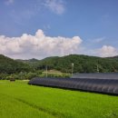 홍림농장 이미지