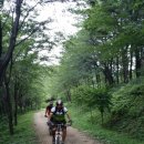 백양산임도 이미지