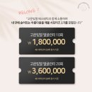 에스테틱고운