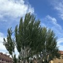 레온 | 산티아고 순례길 레온 순례자들과 후기