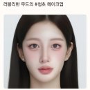 뷰티인사이트 - 강남구 논현로149길 65 | AI뷰티리포트로 알게 된 내 퍼스널컬러 | 피카뷰 뷰티 인사이트 프리미엄 리포트 2.0 후기
