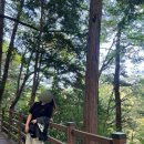 성지곡지 | 부산 가을 트레킹 초읍 어린이대공원 성지곡 수원지 쉬운 난이도