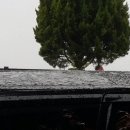 수우농장 이미지