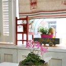 하얀미소약국 이미지