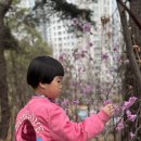 솜솜이네 이미지