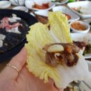 쌈사랑 쌈밥 이미지