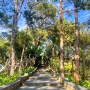 죽림가든 | 부산출발 나트랑 달랏 패키지 :: 노쇼핑, 후기 인증, 단독, 할인예약(대구출발 가능)