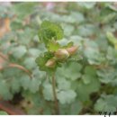 송정하우스 이미지