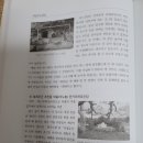 강정 본향당 이미지