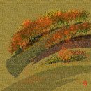 나영상사 이미지