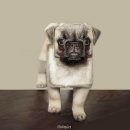 네모네모 이미지