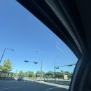 플로라 | 더채플앳논현 여름 본식부케추천 은방울부케 제이스플로라 후기