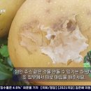 프리존유통 이미지