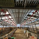 수리한우농장 이미지